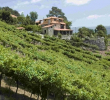 Quinta de Porto Ferrado Quinta de Porto Ferrado