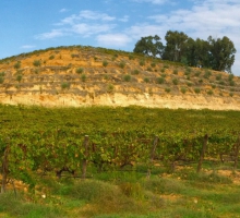 Quinta Pedra D Quinta Pedra D