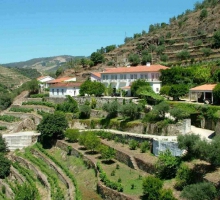 Quinta do Panascal Quinta do Panascal