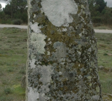 Menir de Penedono