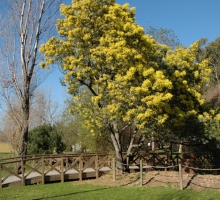 Parque do Carriçal